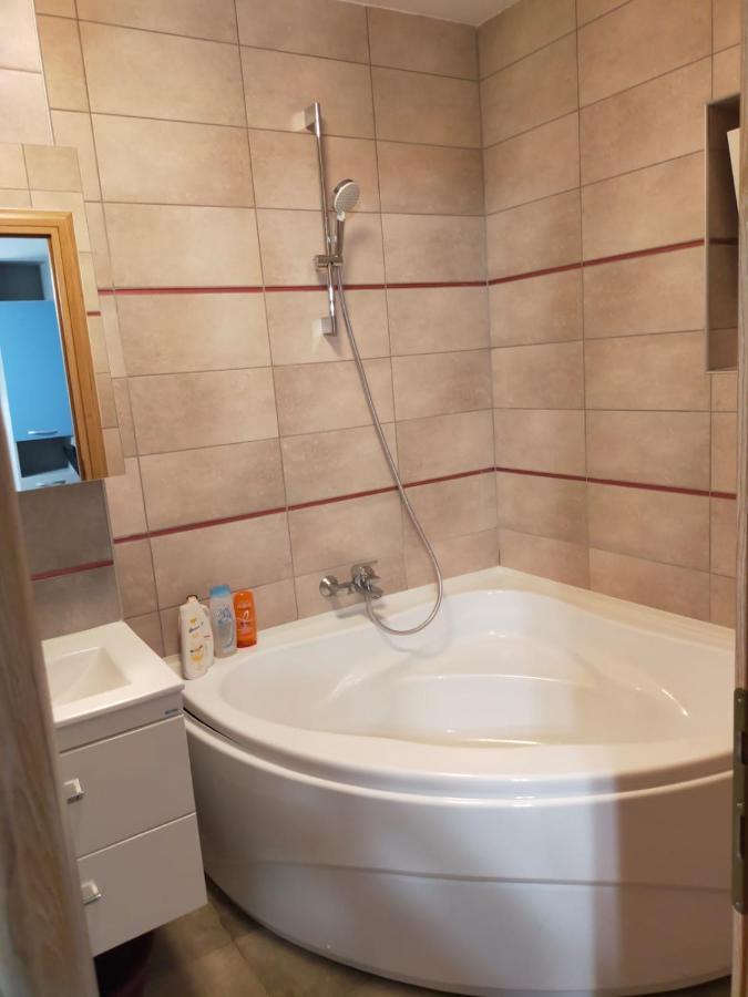 Hunyadi Luxury Dna Stanca 1 Apartment Sibiu Ngoại thất bức ảnh
